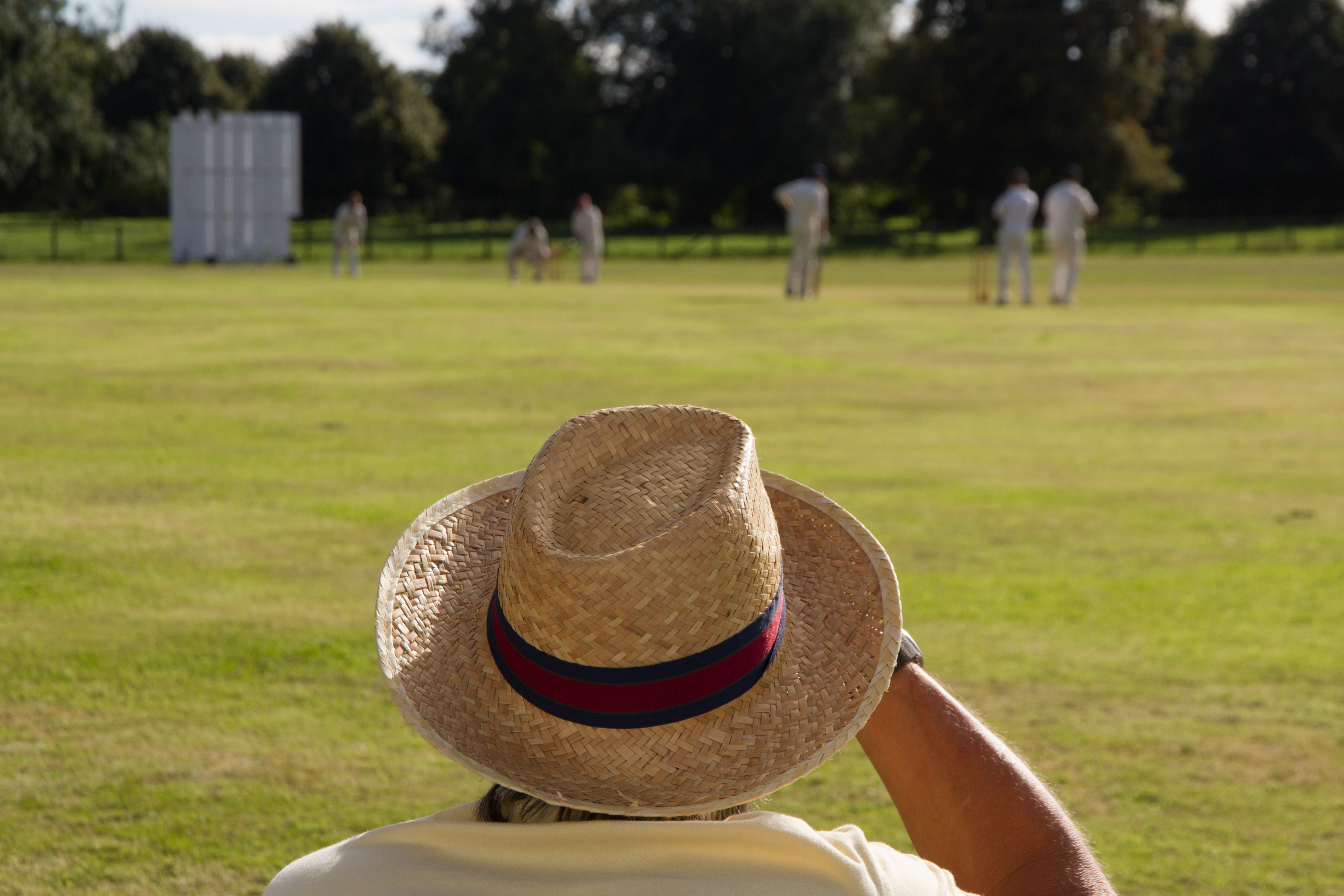 sports-injury-fix-blog-watching-cricket